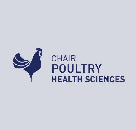 Logo Vetworks News Poultry Chair - Vetworks