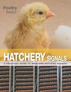 Hatchery Signals 1 - Vetworks