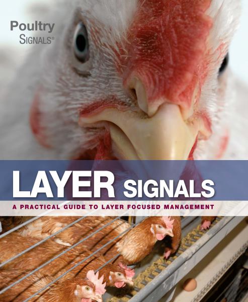 Layer Signals Book
