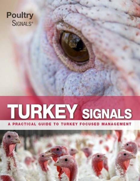 Turkey Signals Book