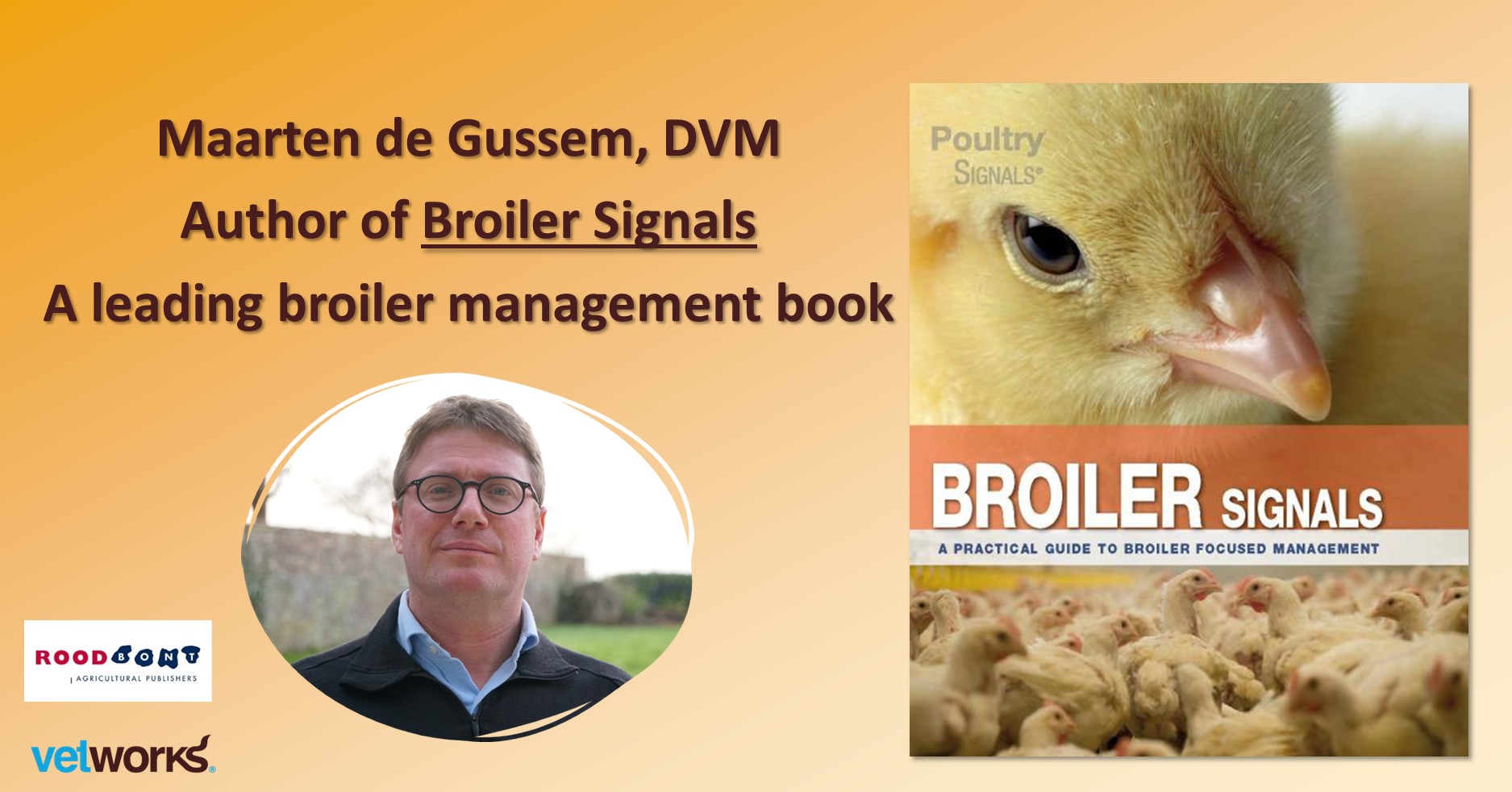 Book Broiler Signals Maarten De Gussem