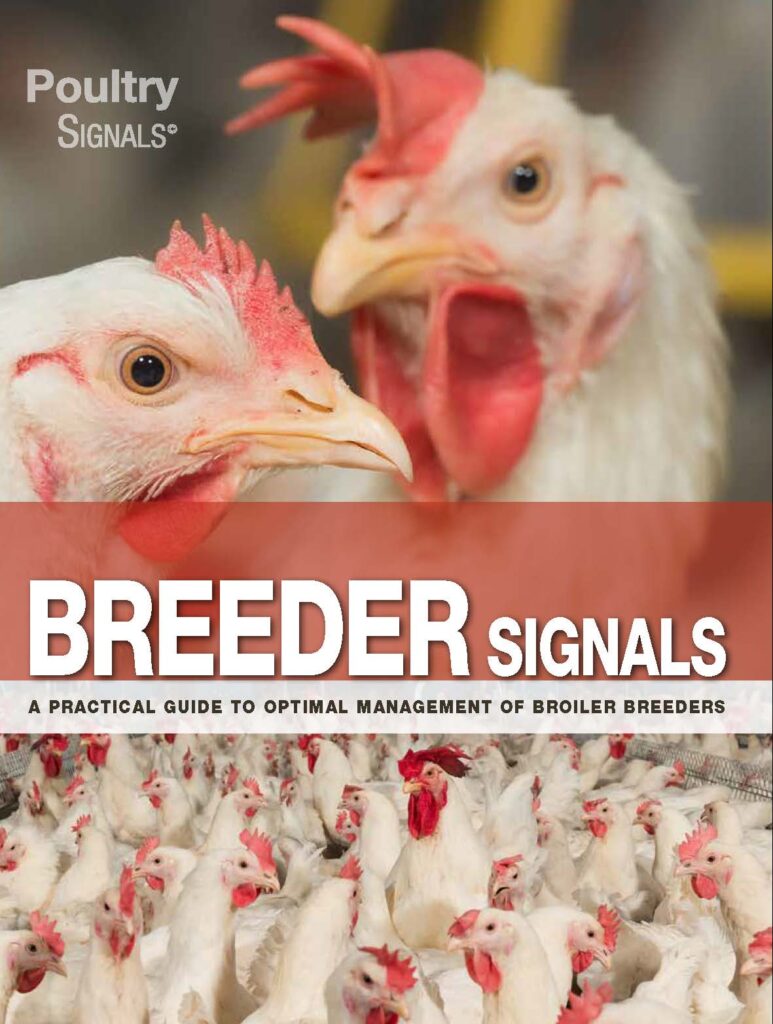 Breeder Signals Book