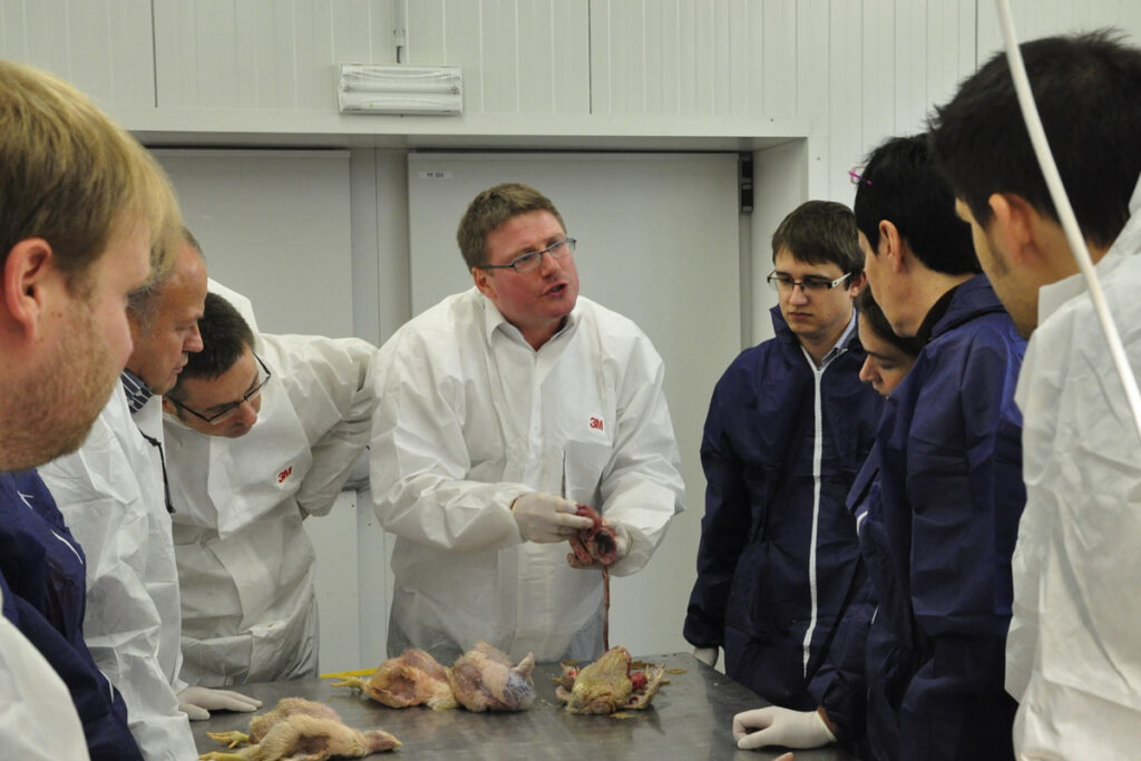 Tailor-Made Training For Poultry Professionals