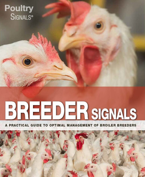 Breeder Signals book pdf