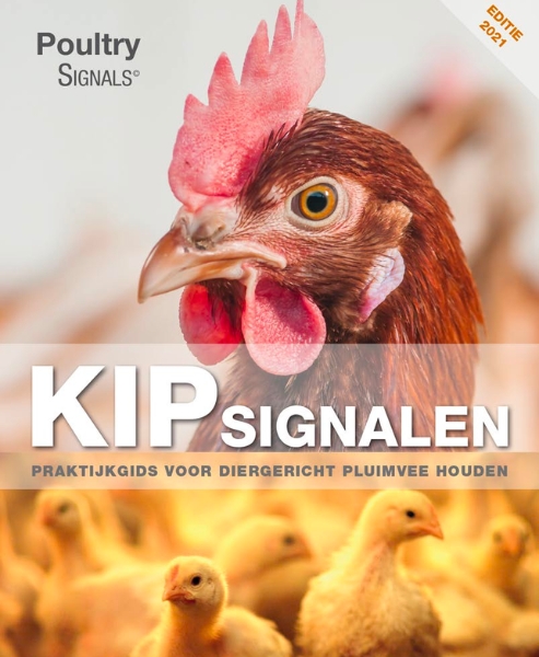 Poultry Signals Nl - Kipsignalen - Pluimvee Boek