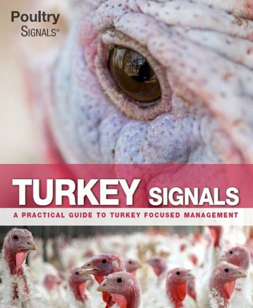Turkey Signals Book Pdf - Kalkoensignalen Pluimvee Boek