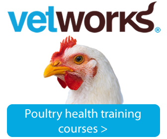 Poultry Health Training Vetworks