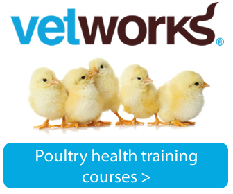 Vetworks Poultry Health Training Course