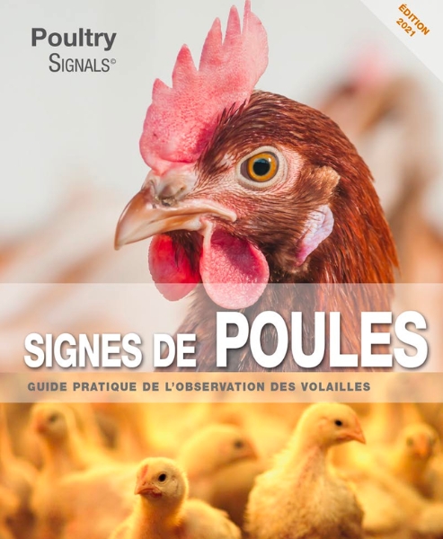 Signals Book Fr - Signes De Poules