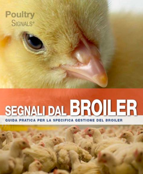 Signals Book It - Segnali Dal Broiler