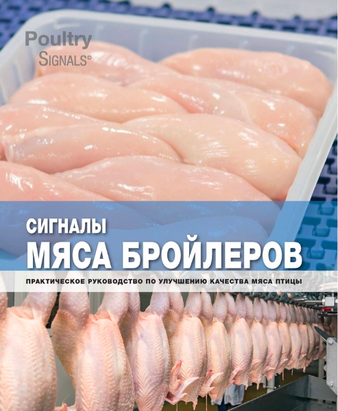 Signals Book Ru - Сигналы Мяса Бройлеров