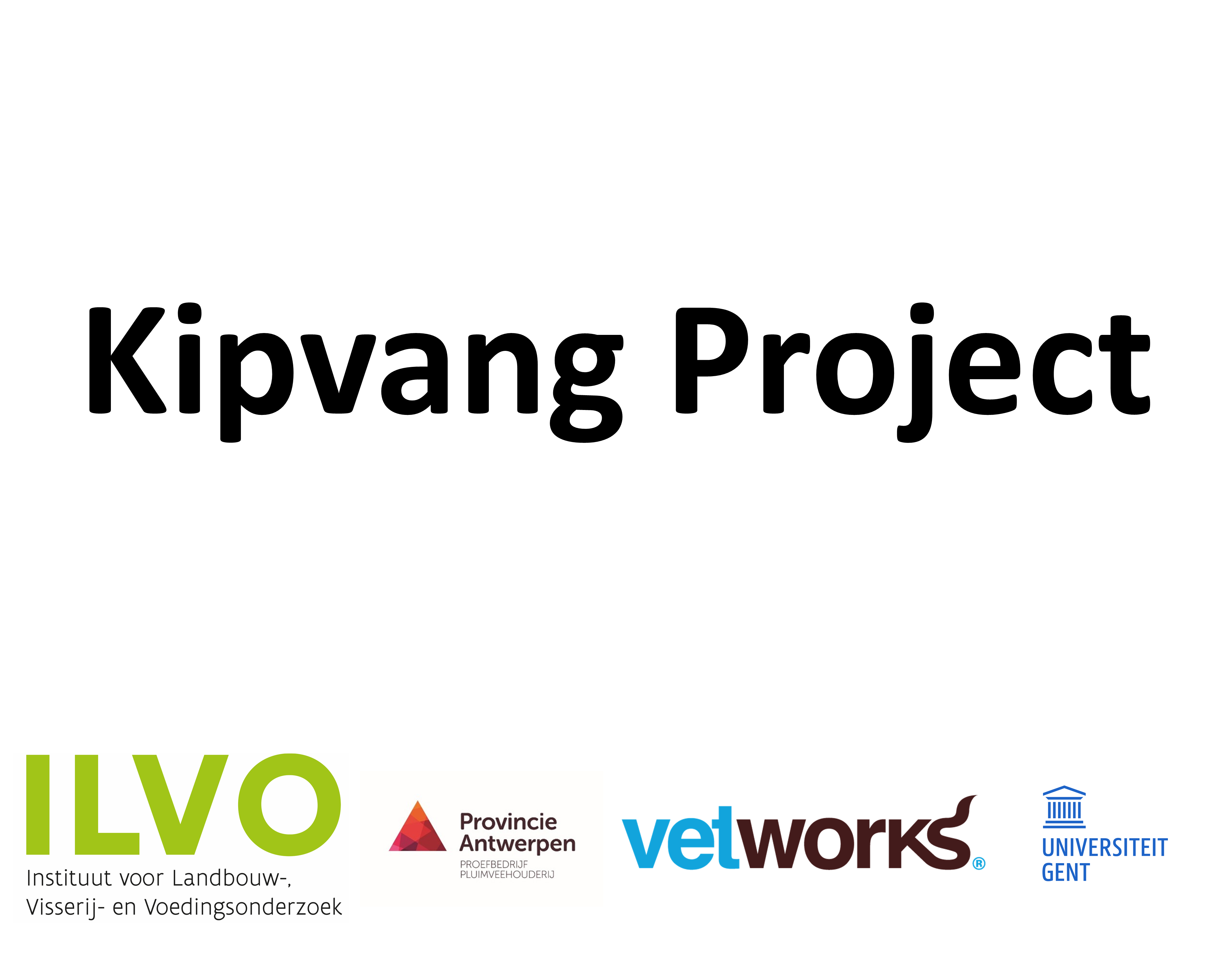 Kipvang Project - Vetworks