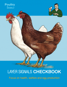 Layer Signals Checkbook 1 - Vetworks