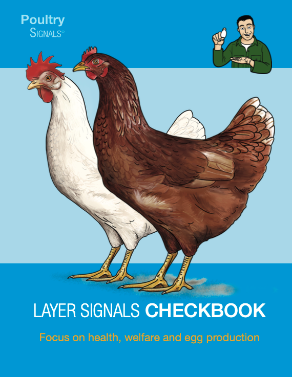 Layer Signals Checkbook - Vetworks