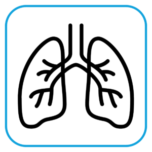 RESPIRATORY (May 19–21, 2026 - Ho Chi Minh, Vietnam)